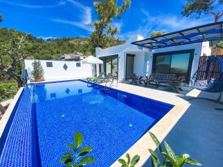 Villa Irmak İslamlar, Villa Yağmur Üzümlü - Kaş - 3
