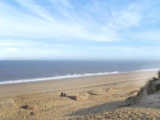 Painters Cottage - Hemsby - 1