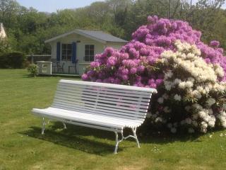 Garden-level studio - Hautot-sur-Mer - 2