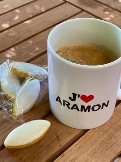Avignon : Le Mas Cott, le paradis dans la nature - Aramon - 4