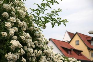 Pension am Dom - Erfurt - 5