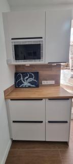 Lagarto Playas Majoreras - 5