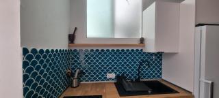 Lagarto Playas Majoreras - 6