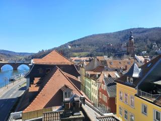 Hotel Villa Marstall - Heidelberg - 2