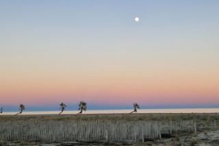 Cosy studio 20 metres from the beach - Le Barcarès - 2
