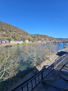 Hotel Villa Marstall - Heidelberg - 3