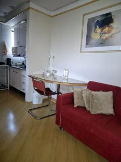 Hotel Vila Mariana Bienal Suites UH 1005 - São Paulo - 6