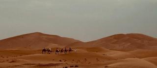 Sahara tarula camp - 1