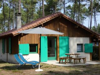 Gite vert - Luxey - 9