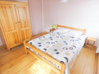 Gite vert - Luxey - 2
