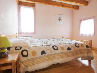 Gite vert - Luxey - 1