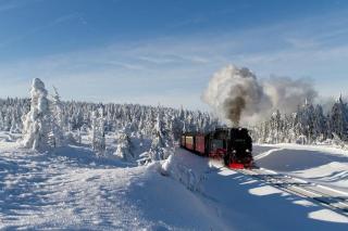 Harz - Blockhaus mit Sauna und Kamin, Chalet Bocksberg - 3