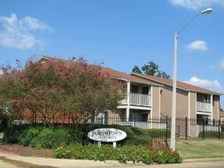 Northtown Apartments 10a I Spacious 1 Bed 1 Bath - Jackson - 6