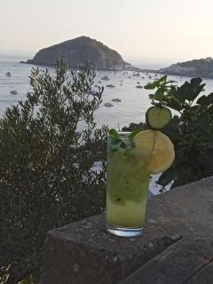 Casa Antonio - Ischia - 9