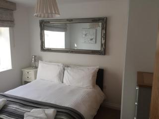 Luxury lower ground floor apartment walled area - Plymouth - 8