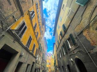 Casa Paolina - Siena - 7