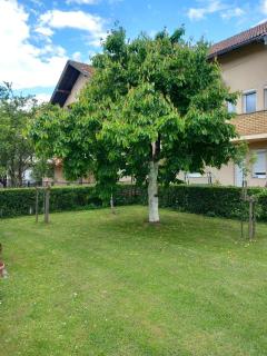 Apartment Ramdedovic1 - Sarajevo - 6