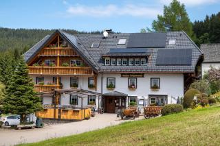 Gasthaus Heiligenbrunnen - Titisee-Neustadt - 6