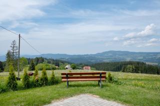 Bäuerleshütte - Breitnau - 6
