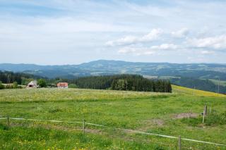 Bäuerleshütte - Breitnau - 1