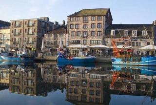 Trematon By Pureserviced - 0