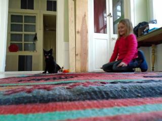 Lotus Garden Hostel Izmir - 1