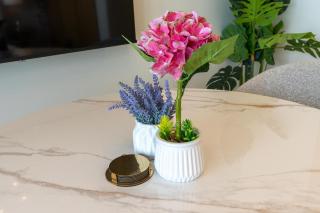 Aykon City Panoramic Skyline View - 1