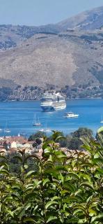 Nikoleta's Studios - Argostoli - 9
