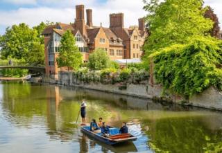 Modern Stylish 2 Bed House - Walk to Addenbrookes - Cambridge - 2