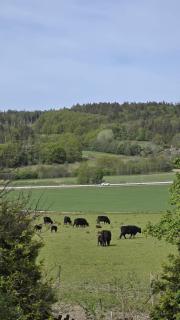Vinds Våningen - Uddevalla - 5