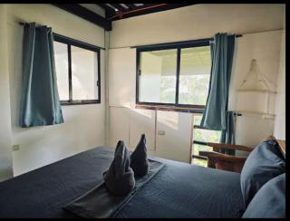 Pacifico Surf Bayay - 8