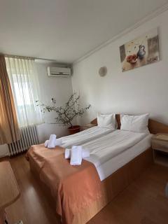 Motel Dacia - Sebeş - 7