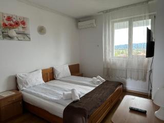 Motel Dacia - Sebeş - 8