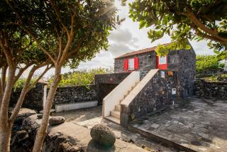Adega Velha - Calheta de Nesquim - 4