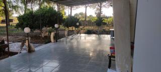 Among the trees and by the sea - 5