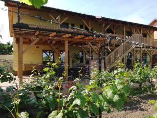 Pension Pod Palavů - Šakvice - 2