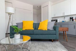 Brand New 2BR Chicago City Escape - Chicago - 9