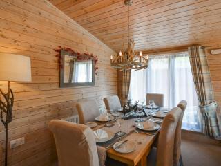 Waterfall Lodge - Eardington - 4