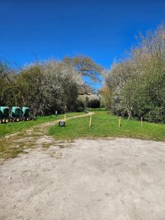 Silver Birch Nabb Lane Hot tub near Alton Towers - Combridge - 6