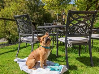 Where Families Reconnect And Dogs Truly Belong - 8