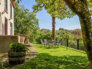 Where Families Reconnect And Dogs Truly Belong - 1