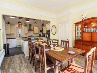 Where Families Reconnect And Dogs Truly Belong - 5