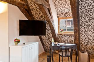 Hotel David an der Donau - Ratisbona - 7
