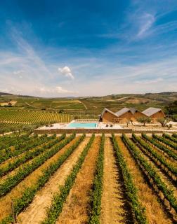 QUINTA DA FAÍSCA - Agro Turismo - Favaios - 8