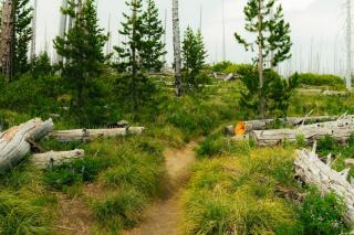 Kicking it Real Log Cabin - 3