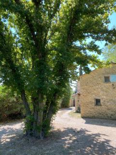Mas Provençal - Aubignan - 1