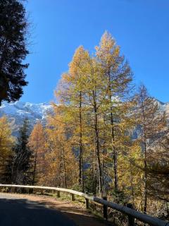 LE FRANIER Splendide Chalet en Montagne - 12pers - Sainte-Foy-Tarentaise - 4