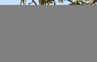 Beautiful Apartment In Ancaiano - Ancaiano - 3