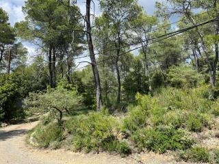 Maison de la Fare- plongez en pleine nature - Carcès - 5