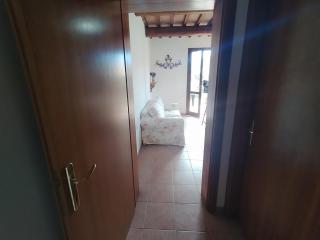 La casa di Arturo Pet friendly Apartments - Riparbella - 3